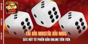 Tài Xỉu MD5 - Sức Hút Từ Phiên Bản Online Tiên Tiến