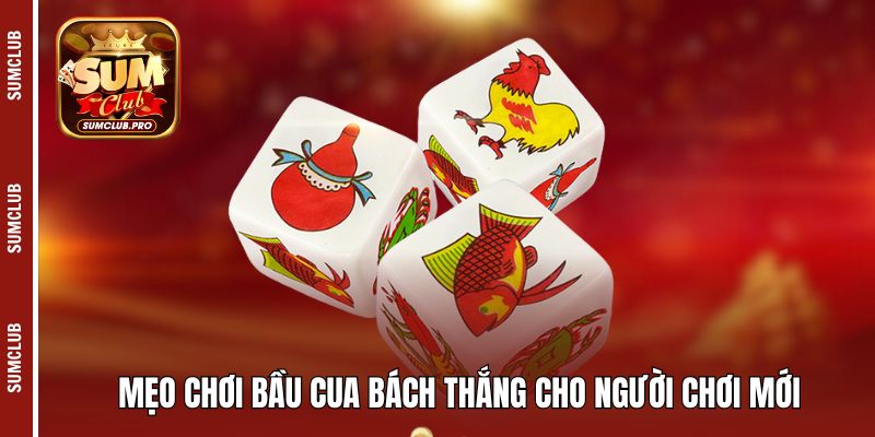 Mẹo chơi Bầu Cua bách thắng cho người chơi mới