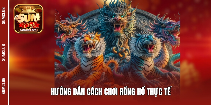 Hướng dẫn cách chơi Rồng Hổ thực tế
