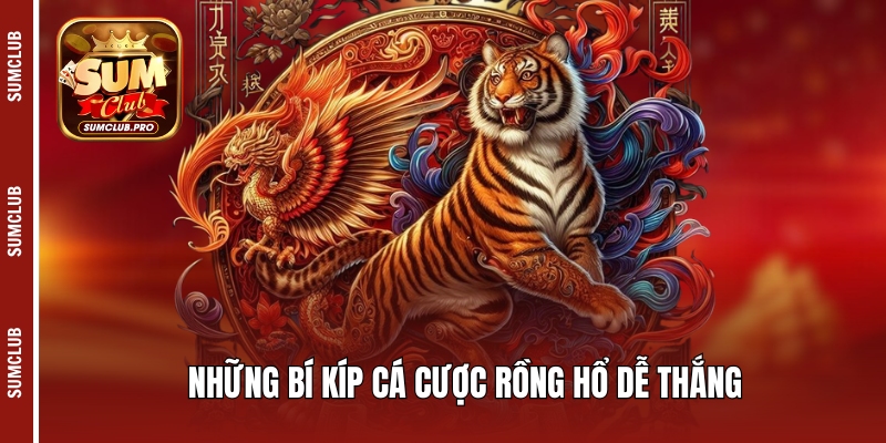 Những bí kíp cá cược Rồng Hổ dễ thắng