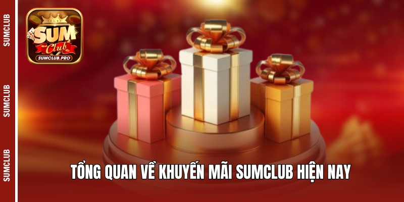 Khuyến Mãi Sumclub - Điểm Danh Những Ưu Đãi Hot 2025 1 Tổng quan về khuyến mãi Sumclub hiện nay