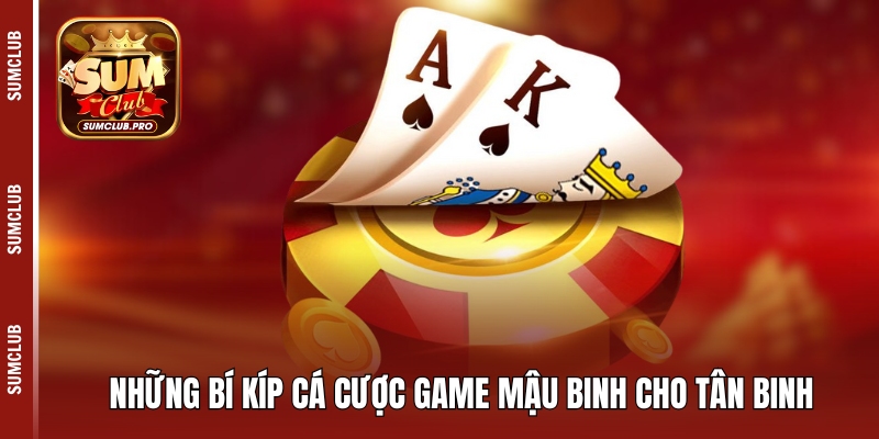 Những bí kíp cá cược game mậu binh cho tân binh