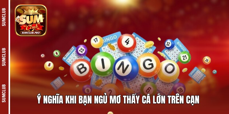 Ý nghĩa khi bạn ngủ mơ thấy cá lớn trên cạn
