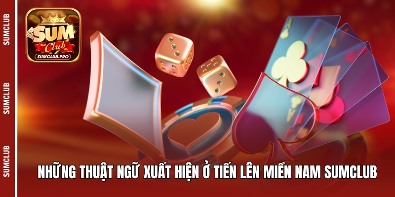 Những thuật ngữ xuất hiện ở tiến lên miền Nam Sumclub