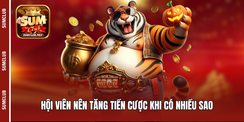 Hội viên nên tăng tiền cược khi có nhiều sao 